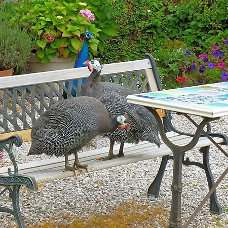 Bed & Breakfast Manoir Francis 3*