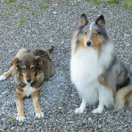 Bed & Breakfast Manoir Francis Marles-sur-Canche