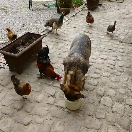 Oda ve Kahvaltı Manoir Francis Marles-sur-Canche