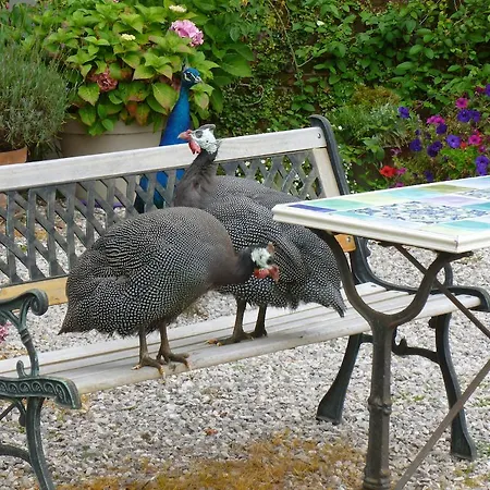 Oda ve Kahvaltı Manoir Francis